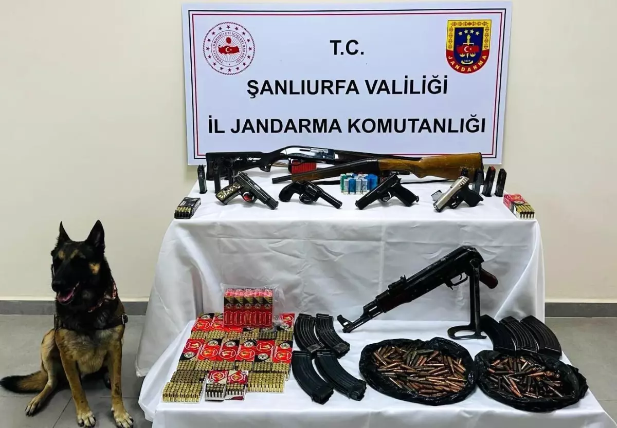 sanliurfada silah operasyonu LNLEWIEW