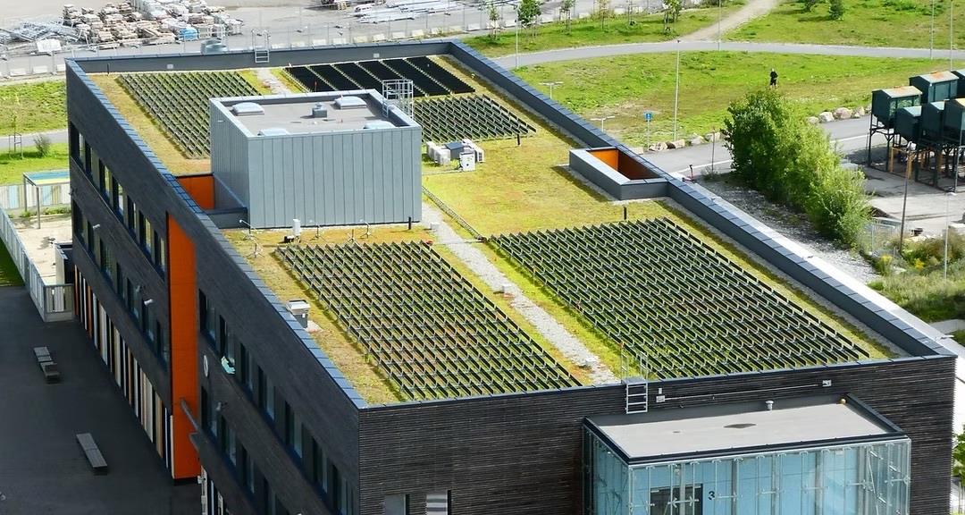 dikey gunes panelleri ve yesil cati bir arada dbKBwu1Z