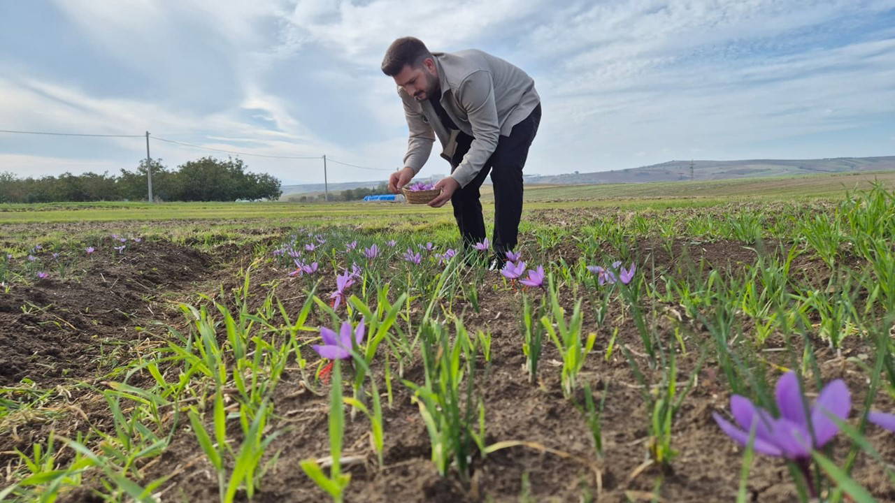 bir cicekten 3 tel cikiyor kilosu 600 bin lira KCNavmCz.jpg