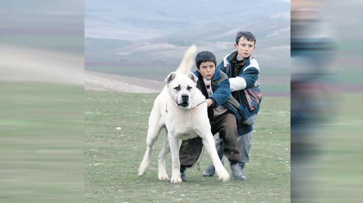 sivas ucretsiz erisime acildi Td9MRF2H.jpg