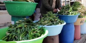 daglar-ve-yaylalarda-dogal-olarak-yetisiyor-sifali-otlarin-kilosu-100-tlden-satiliyor-n5s56VQK