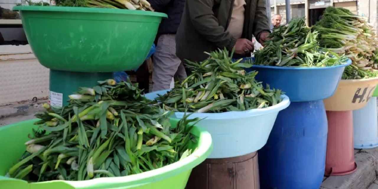 Dağların Hazinesi: Şifalı Otların Kilosu 100 TL’den Satışta!