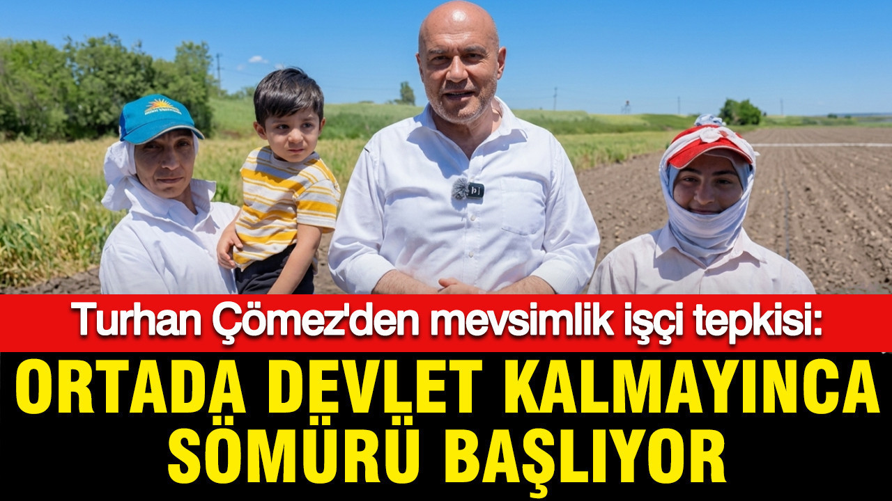 Turhan Çömez’den Mevsimlik İşçilere Yönelik Eleştiriler: Sömürüye Dikkat Çekti